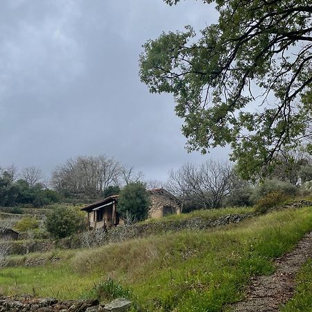 Vergel San Pedro Torremenga Eksteriør bilde